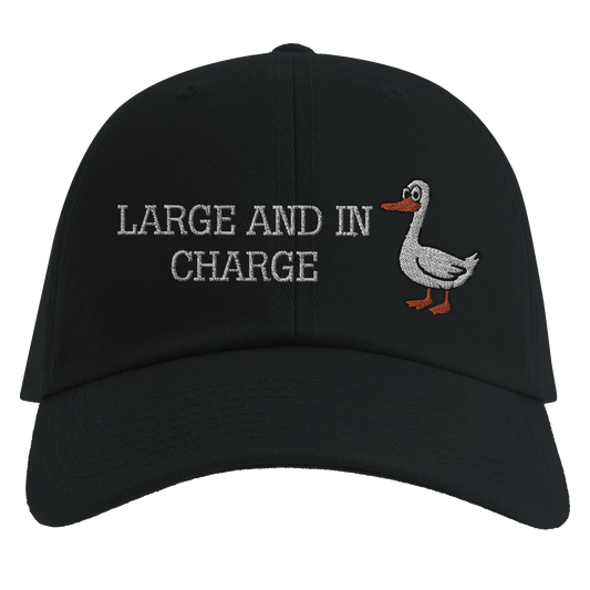 d96b056a-3b19-4574-8fb0-b2ffe7fbbd32